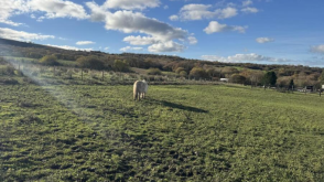 Development Potential in Garnant photo